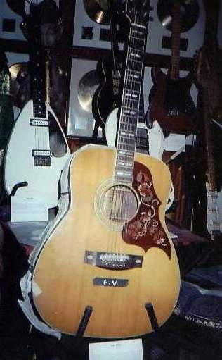 Eddie Vedders Guitar