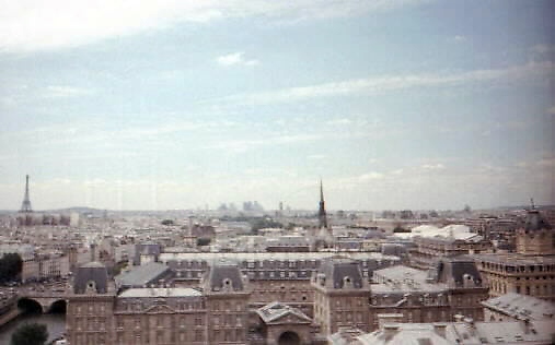 Paris as Quasimodo saw it.